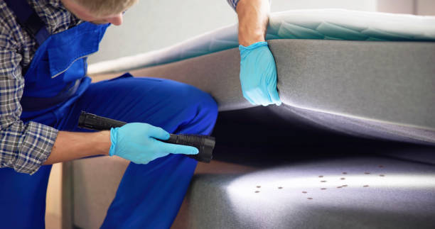 Pest Prevention Services in Massanutten, VA