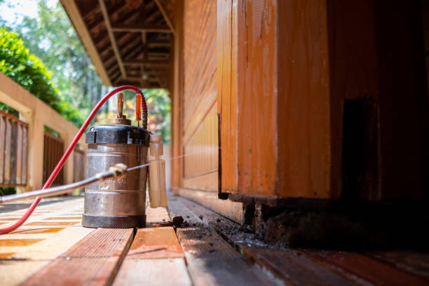 Best Commercial Pest Control Services  in Massanutten, VA