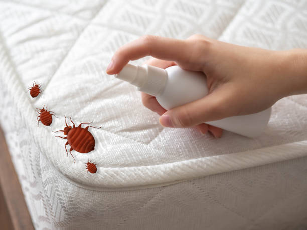 Best Residential Pest Control  in Massanutten, VA