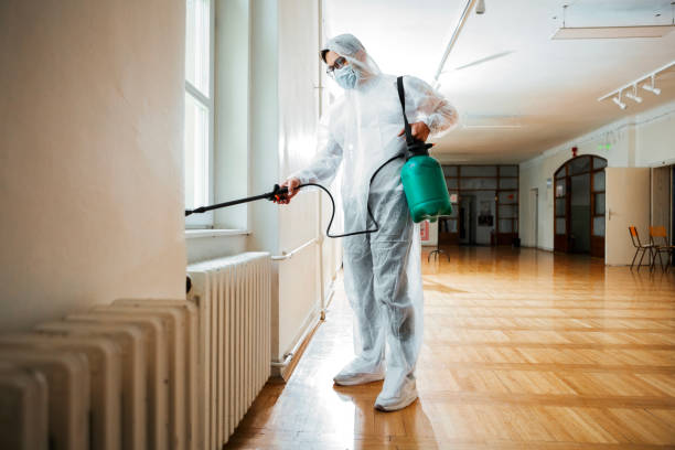 Best Pest Control Near Me in Massanutten, VA